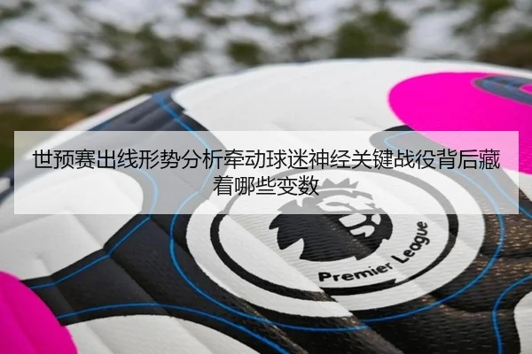 世预赛出线形势分析牵动球迷神经关键战役背后藏着哪些变数